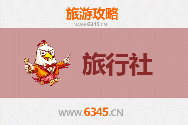 甘南合作本地旅行社推荐：深度体验藏地风情的完美指南